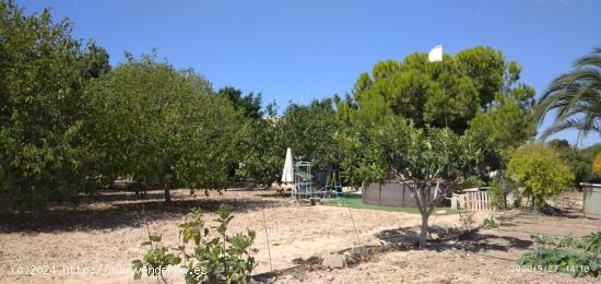 Gran caserío con 20000 metros de parcela - ALICANTE