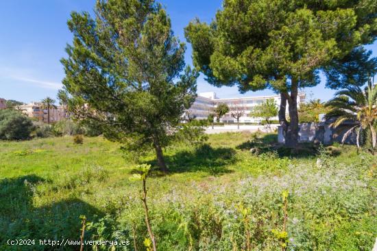 Terrenos urbanos en Cala Rajada - BALEARES