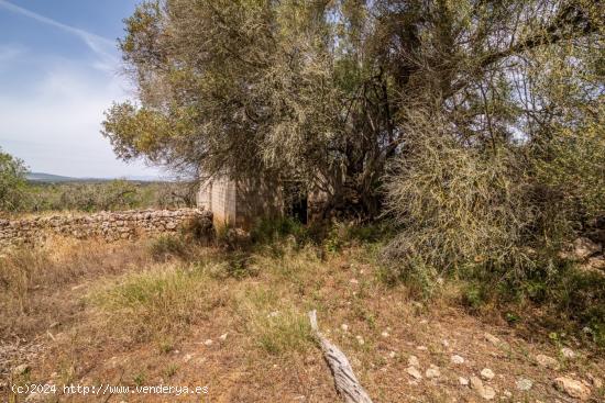 Finca rustica en Costitx - BALEARES