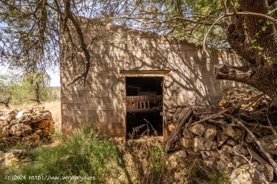 Finca rustica en Costitx - BALEARES