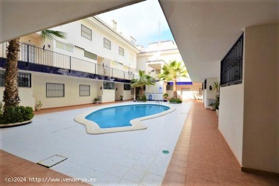 Apartamento con jardin - ALICANTE