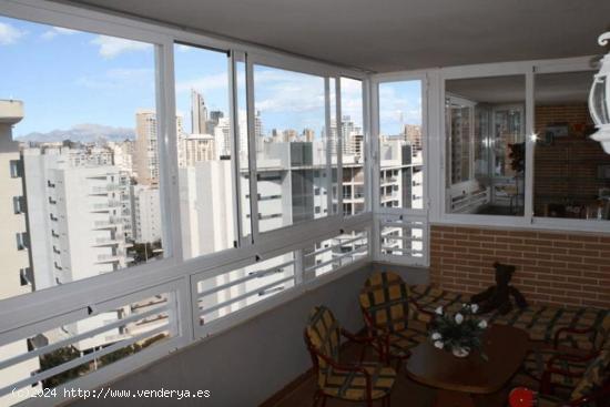 Apartamento con terraza en Benidorm - ALICANTE