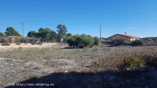 GRAN OPORTUNIDAD!! Terreno urbano en Rebolledo - ALICANTE