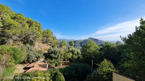 ESTAS A UN PASO DEL PARAISO - BALEARES