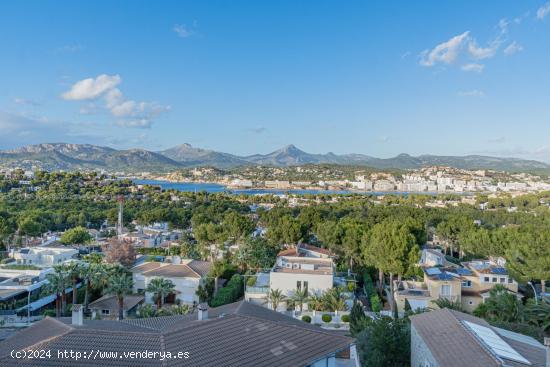 Exclusivo chalet con piscina en Santa Ponsa - BALEARES