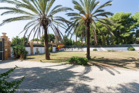 Villa palaciega estilo rococó - ALICANTE