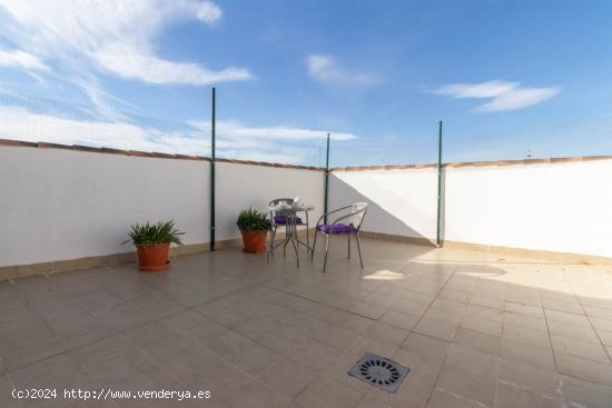 Vivienda independiente con terraza-solárium - ALICANTE