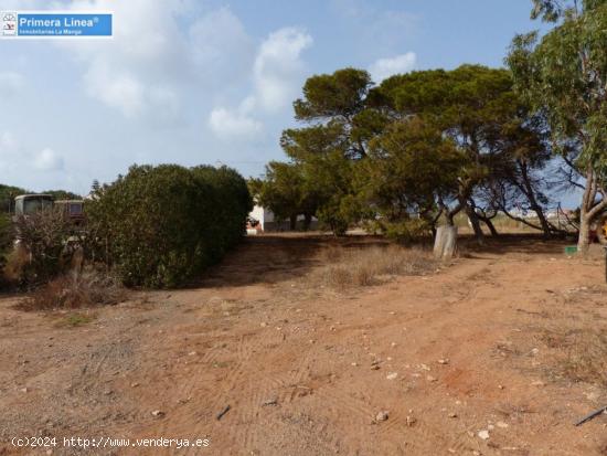 Venta de finca agrícola en Los Belones - MURCIA