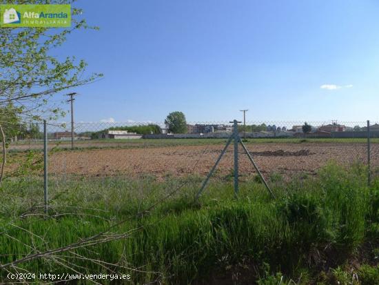 TERRENO RUSTICO - BURGOS