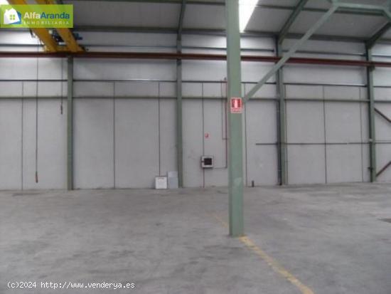 NAVE EN ALQUILER CON POSIBILIDAD DE OPCION DE COMPRA - BURGOS