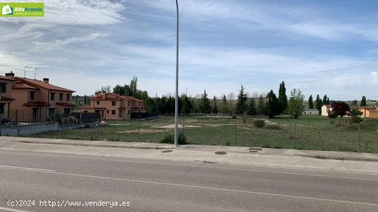 TERRENO URBANO EN PEÑARANDA DE DUERO - BURGOS