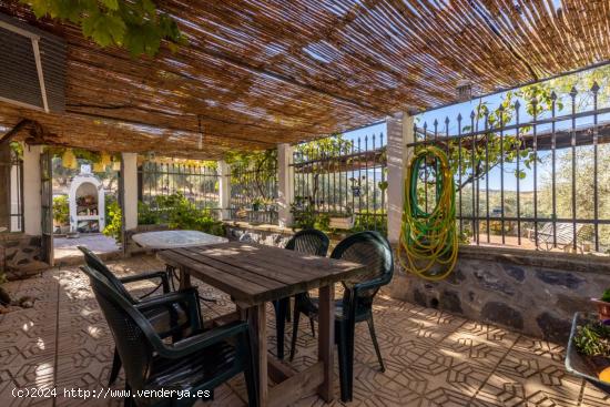 Casa rural con 300 olivos de riego y almendras - GRANADA