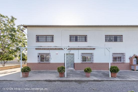 OPORTUNIDAD! CASA Y NAVE EN SANTA FÉ - GRANADA