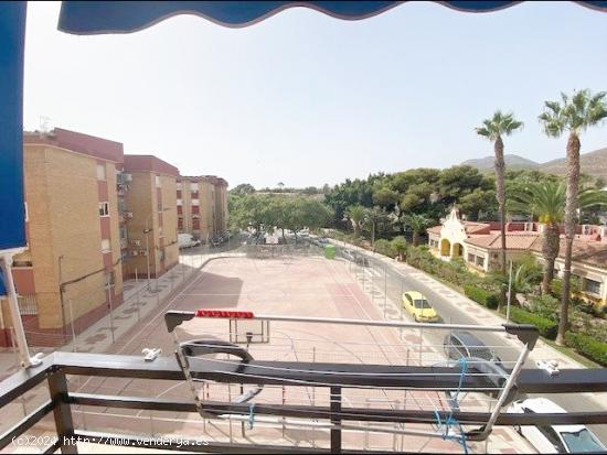 COQUETO APARTAMENTO DE 1 DORMITORIO CERCA DEL AYUNTAMIENTO - MALAGA