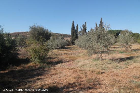 Se Vende en Campanillas - MALAGA