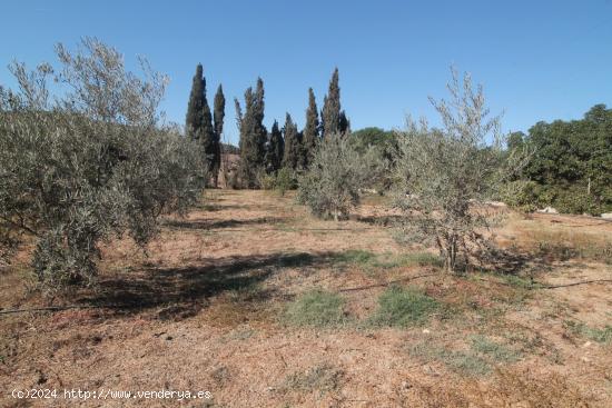 Se Vende en Campanillas - MALAGA