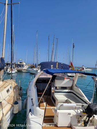 AMARRE 18 X 4 CLUB NAUTICO MARINA INTERNACIONAL - ALICANTE