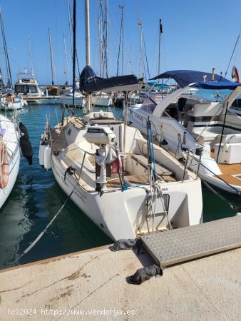 AMARRE 18 X 4 CLUB NAUTICO MARINA INTERNACIONAL - ALICANTE