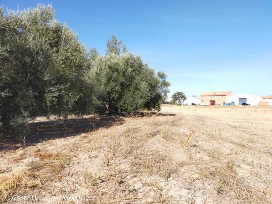 Parcela en venta en Antequera - MALAGA