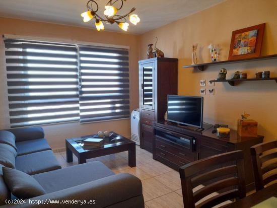 Se Vende en San Cristobal de La Laguna - SANTA CRUZ DE TENERIFE