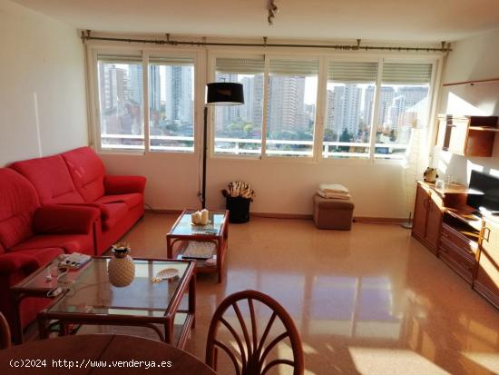 APARTAMENTO EN CALA DE BENIDORM!!!CUENTA CON URBANIZACION COMPLETA. - ALICANTE