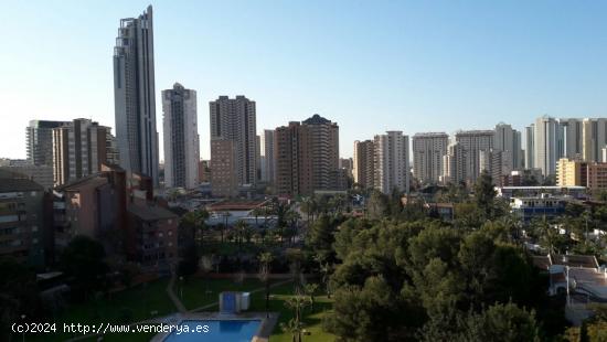 APARTAMENTO EN CALA DE BENIDORM!!!CUENTA CON URBANIZACION COMPLETA. - ALICANTE