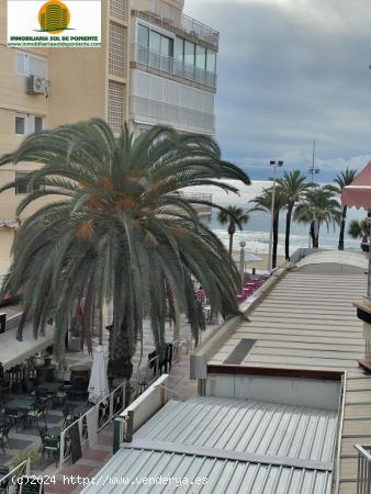 PISO DE 3 DORMITORIOS EN 1 LINEA DE PLAYA DE LEVANTE EN BENIDORM !!! - ALICANTE