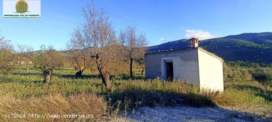 Finca Rústica con Posibilidad de Construir - ALICANTE