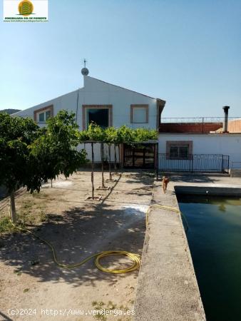 MARAVILLOSO CHALET CON CAMPO DE CULTIVO EN PLENA NATURALEZA!!! - ALICANTE