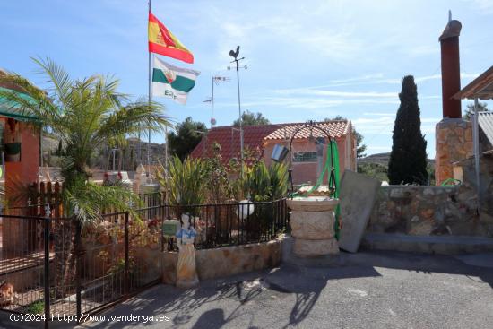 Un sueño para los amantes del campo - ALICANTE