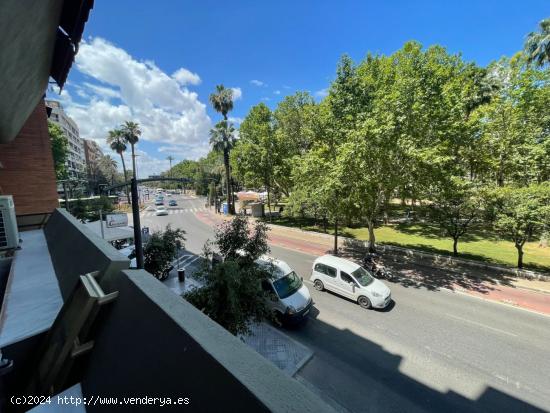  GRAN VIVIENDA EN PLENO CENTRO JUNTO AL CORTE INGLES - CORDOBA 