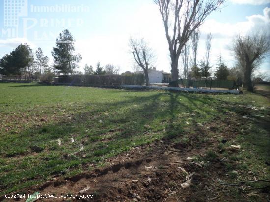 PARCELA DE 2517 M2 EN CARRETERA ALAVESA POR SOLO 26.000  - CIUDAD REAL