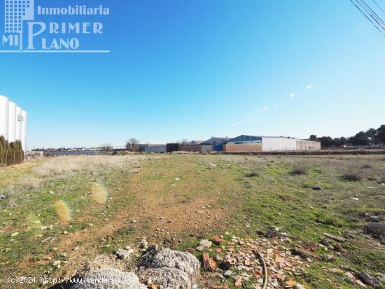 Solar junto a la Carretera de Argamasilla de Alba - CIUDAD REAL