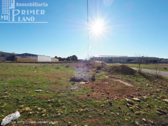 Solar junto a la Carretera de Argamasilla de Alba - CIUDAD REAL