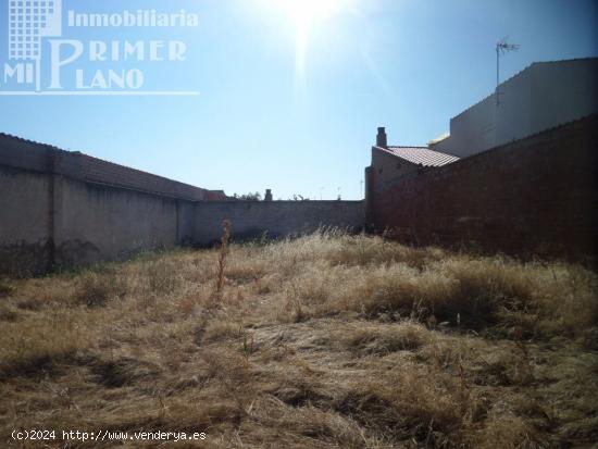 ¡¡GRAN OPORTUNIDAD DE COMPRA EN ARGAMASILLA DE ALBA!! - CIUDAD REAL