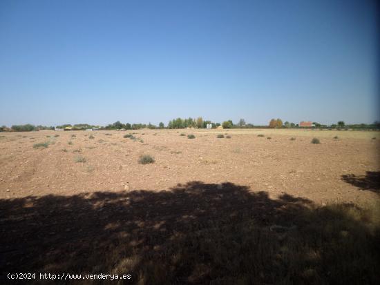  Se vende parcela con agua en zona la Alavesa - CIUDAD REAL 