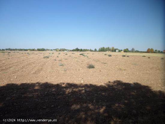 Se vende parcela con agua en zona la Alavesa - CIUDAD REAL