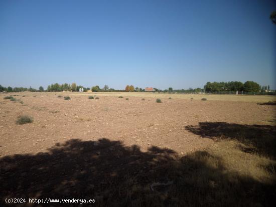 Se vende parcela con agua en zona la Alavesa - CIUDAD REAL