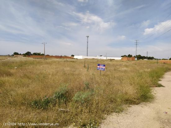 Se vende solar de 4242m2 en camino Santa Maria / Poligono 20 - CIUDAD REAL