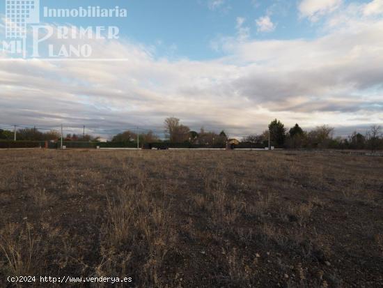 Se vende parcela con agua en la Alavesa con 2933 metros cuadrados - CIUDAD REAL