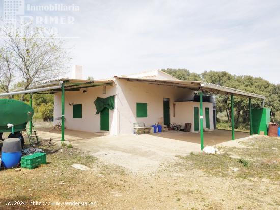 Se vende finca totalmente vallada de 12 hectareas - CIUDAD REAL