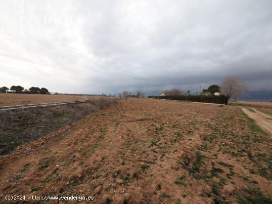  Se vende parcela en la zona de la Alavesa con 6179m2 y agua - CIUDAD REAL 