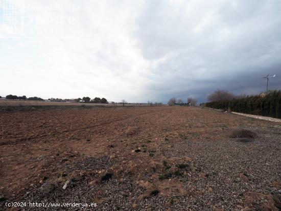 Se vende parcela en la zona de la Alavesa con 6179m2 y agua - CIUDAD REAL