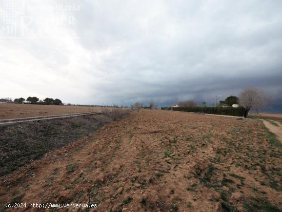 Se vende parcela en la zona de la Alavesa con 6179m2 y agua - CIUDAD REAL