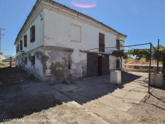 VIVIENDA URBANA +  FINCA RÚSTICA EN PLENA VEGA DE GRANADA - GRANADA