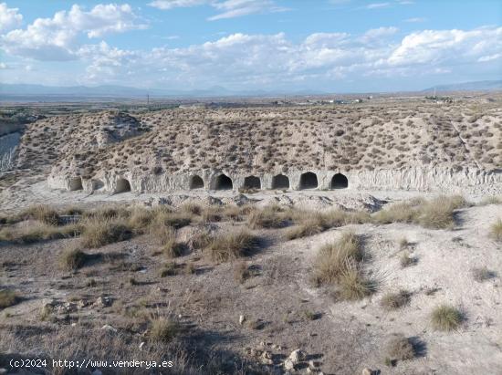 FINCA CON VARIAS CUEVAS EN ZONA RURAL DE BAZA - GRANADA