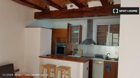 Apartamento de 1 dormitorio en alquiler en Valencia - VALENCIA
