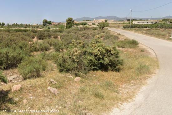 Terreno No Urbanizable - Totana - MURCIA