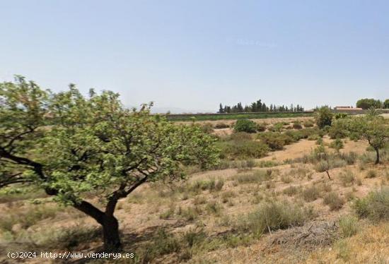 Terreno No Urbanizable - Totana - MURCIA