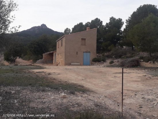 Suelo rústico en venta  en Mora d Ebre - Tarragona